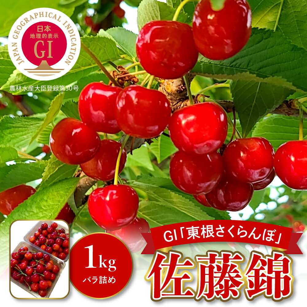 【ふるさと納税】【 数量限定 】 2025年産 GI東根 さくらんぼ  佐藤錦 1kg 秀品 Lサイズ バラ詰め <br><br>/フルーツ 果物 くだもの サクランボ チェリー 小分け 箱入り 化粧箱 期間限定 冷蔵配送 大容量 特産 産地 直送 東北 山形県 東根市