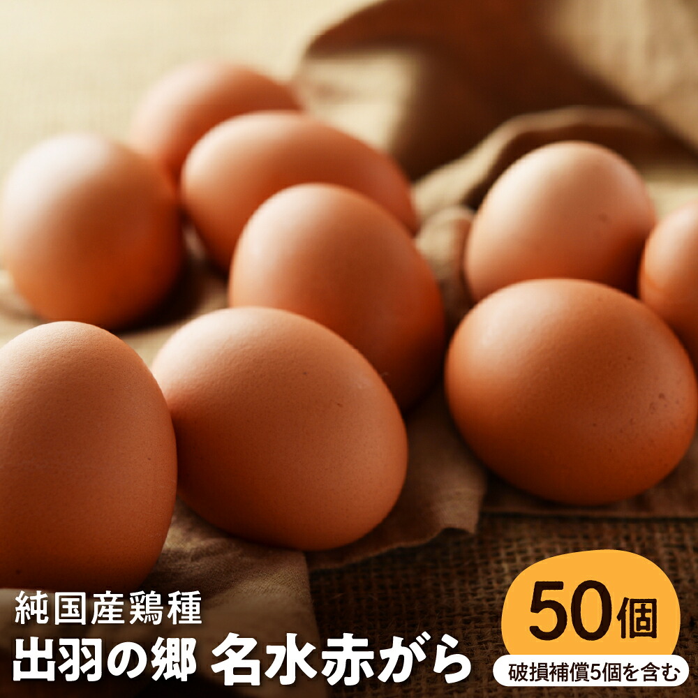 【ふるさと納税】 たまご 出羽の郷 名水赤がら 50個 / 卵 タマゴ 玉子 50個 卵 鶏卵 半澤鶏卵 新鮮 濃厚 赤玉 卵かけごはん TKG 親子丼 オムレツ 人気 送料無料 山形県 東根市