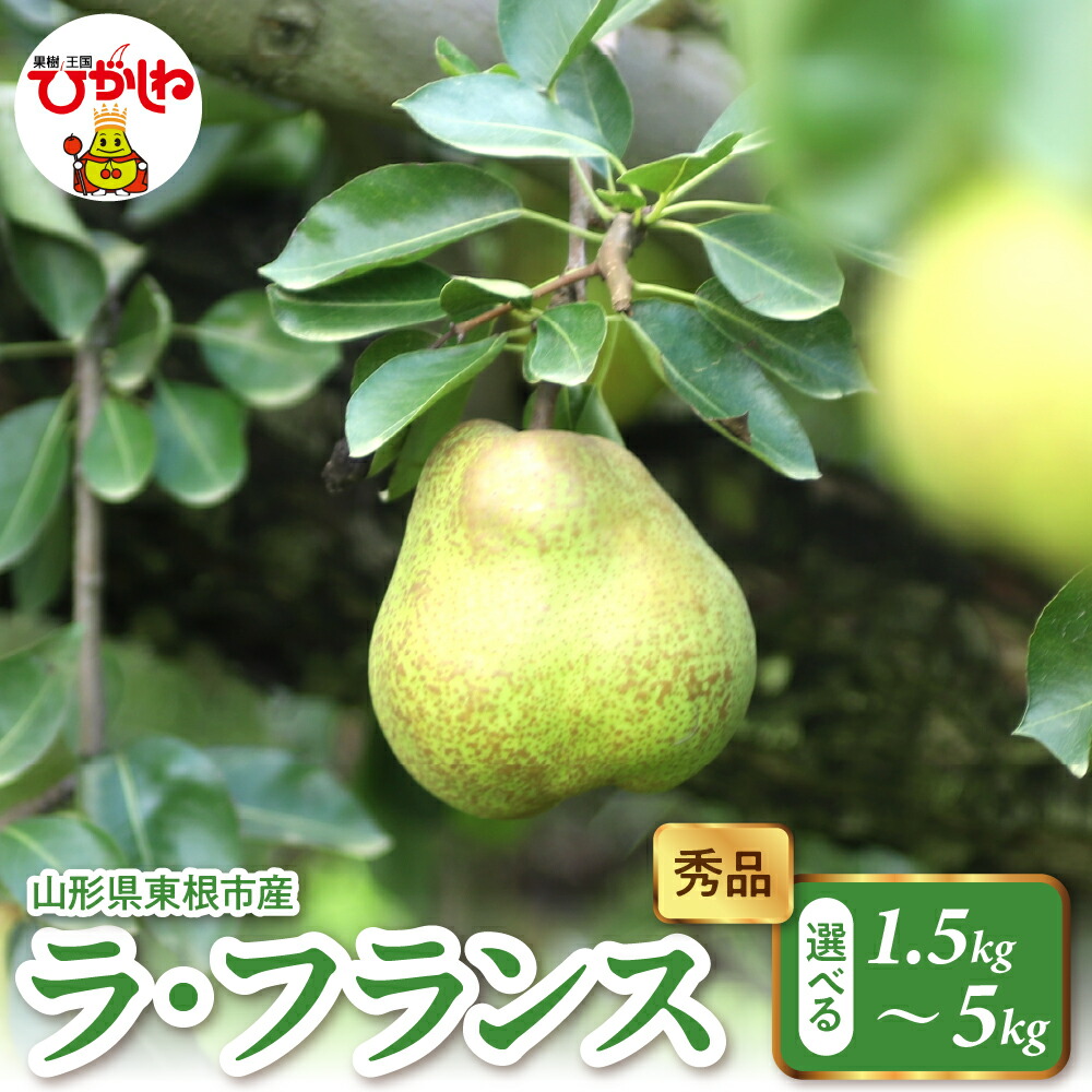 【ふるさと納税】 2025年産 ラ・フランス  ( 選べる : 1.5kg 2kg 3kg 5kg ) 秀品 <br><br>/ ラフランス 洋梨 洋なし 西洋梨 フルーツ 果物 くだもの 期間限定 大容量 配送 先行予約 農家直送 産地直送 お取り寄せ グルメ ご当地 特産 産地直送 山形県東根市