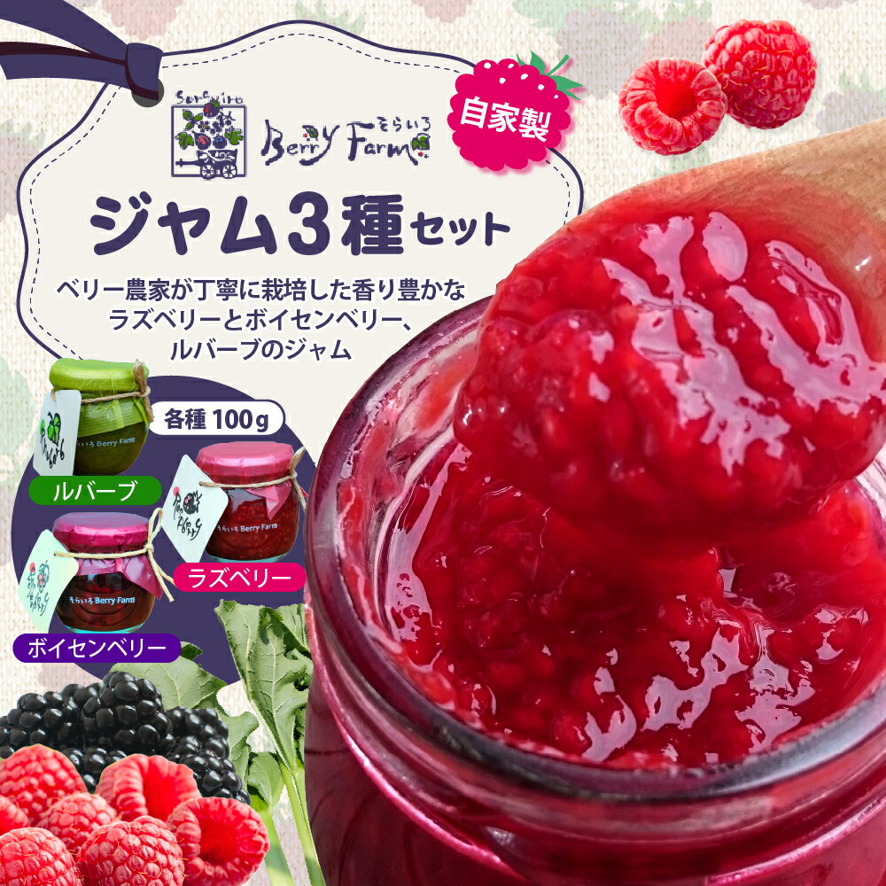 【ふるさと納税】ベリー農家 の 自家製ジャム 3種セット | 加工品 調味料 ジャム ラズベリー ボイセンベリー ルバーブ てんさい糖 料理 手造り 詰合せ セット お取り寄せ 送料無料 山形県 東根市 9,120円