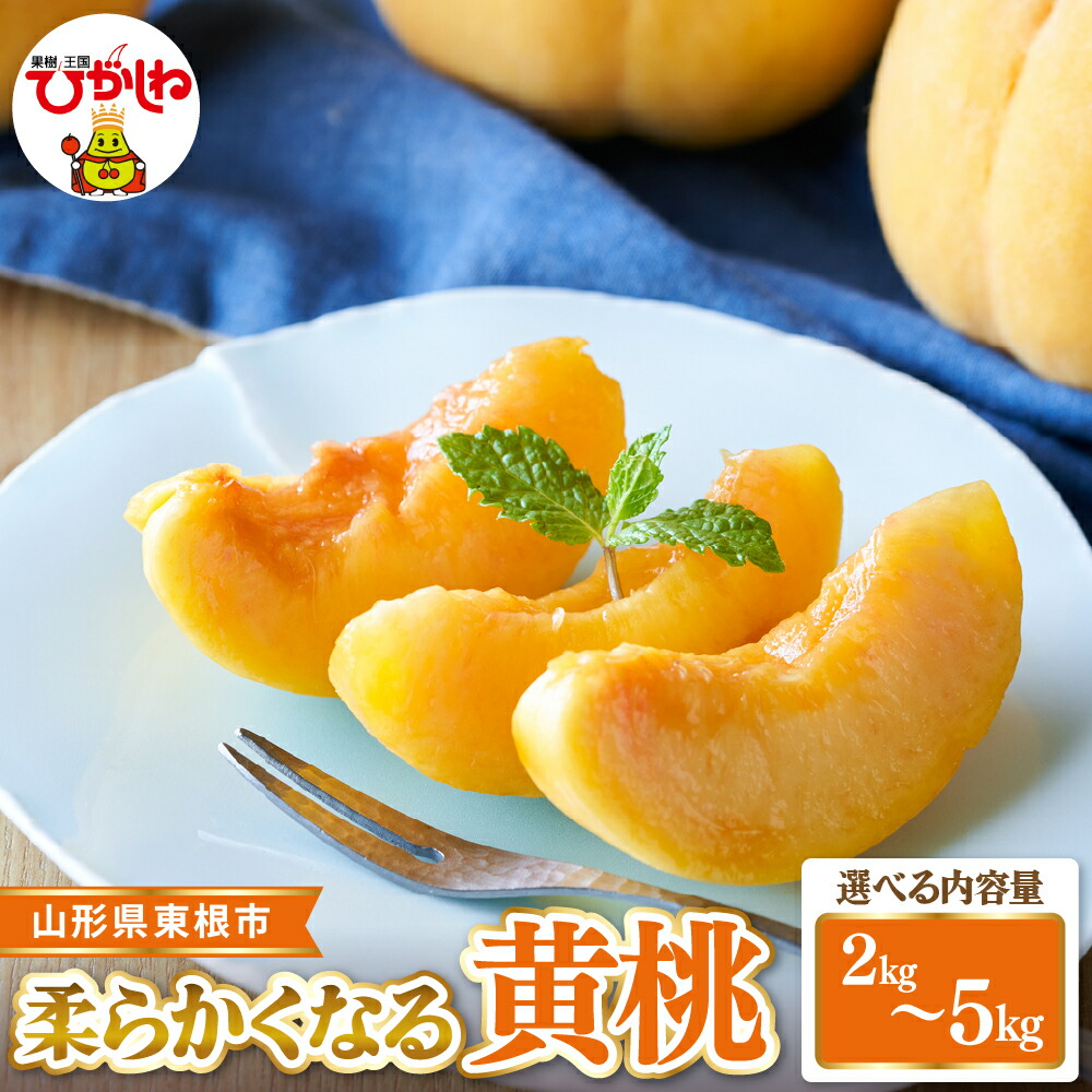 【ふるさと納税】2026年産 先行受付 柔らかくなる 黄桃 秀品 ( 選べる : 2kg /3kg / 5kg )| もも 桃 黄桃 柔らかい やわらかめ フルーツ 果物 くだもの 産地直送 期間限定 特産品 お取り寄せ グルメ 旬 人気 おすすめ 送料無料 東北 山形県 東根市|山形県東根市