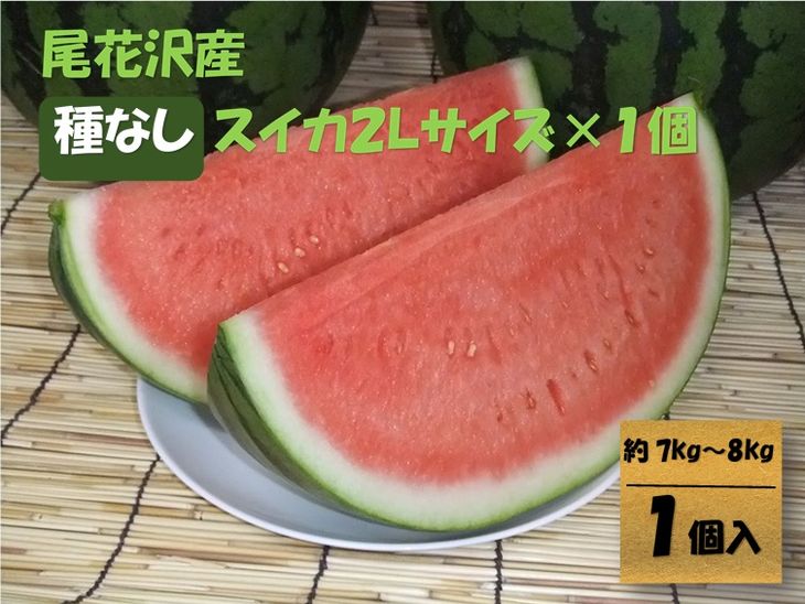 楽天市場 ふるさと納税 令和3年産予約 観光物産 尾花沢産種なしスイカ２ｌサイズ 約7 8kg 1個 7月下旬 8月中旬頃発送 尾花沢スイカ すいか 西瓜 送料無料 山形県尾花沢市