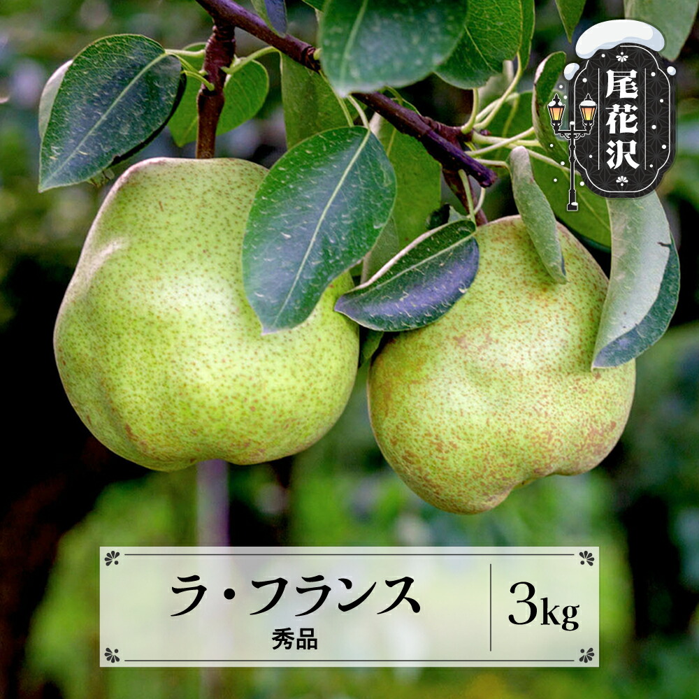 【ふるさと納税】先行予約 ラ・フランス秀品 約3kg 11月中旬~12月中旬頃発送 山形県産 フルーツ 果物 くだもの ラフランス 洋梨 西洋梨 2025年産 令和7年産 佐竹物産 sb-lasyx3<br>※沖縄・離島への配送不可