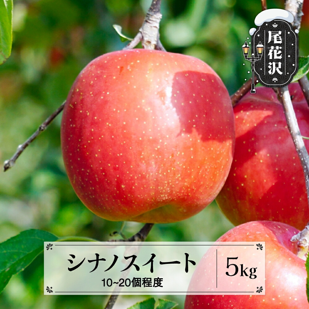 【ふるさと納税】先行予約 りんご シナノスイート 秀品 5kg (10~20個程度) 10月中旬~11月中旬頃発送 山形県産 フルーツ 果物 くだもの リンゴ 2026年産 令和8年産 佐竹物産 sb-rissx5-b※沖縄・離島への配送不可