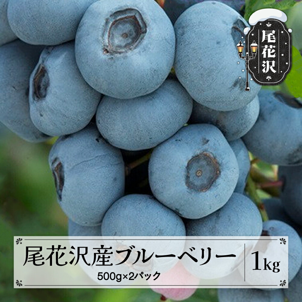 【ふるさと納税】尾花沢産 とれたて 完熟 ブルーベリー 生果実 1kg 500g×2パック 7月中旬~下旬頃発送 令和7年産 2025年産 フルーツ 果物 産地直送 山形県 尾花沢市 送料無料 着日指定不可 kb-bbxxx1000 ※沖縄・離島への配送不可