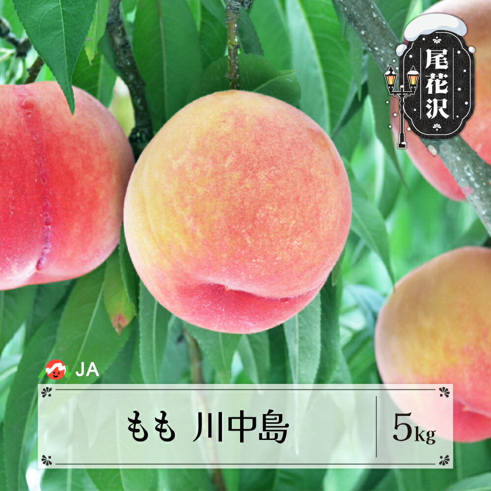 【ふるさと納税】先行予約 もも 桃 川中島 約5kg 秀 20玉以上 8月中旬~9月上旬頃発送 令和8年産 2026年産 果物 送料無料 ja-moknx5-b※沖縄・離島への配送不可|山形県尾花沢市