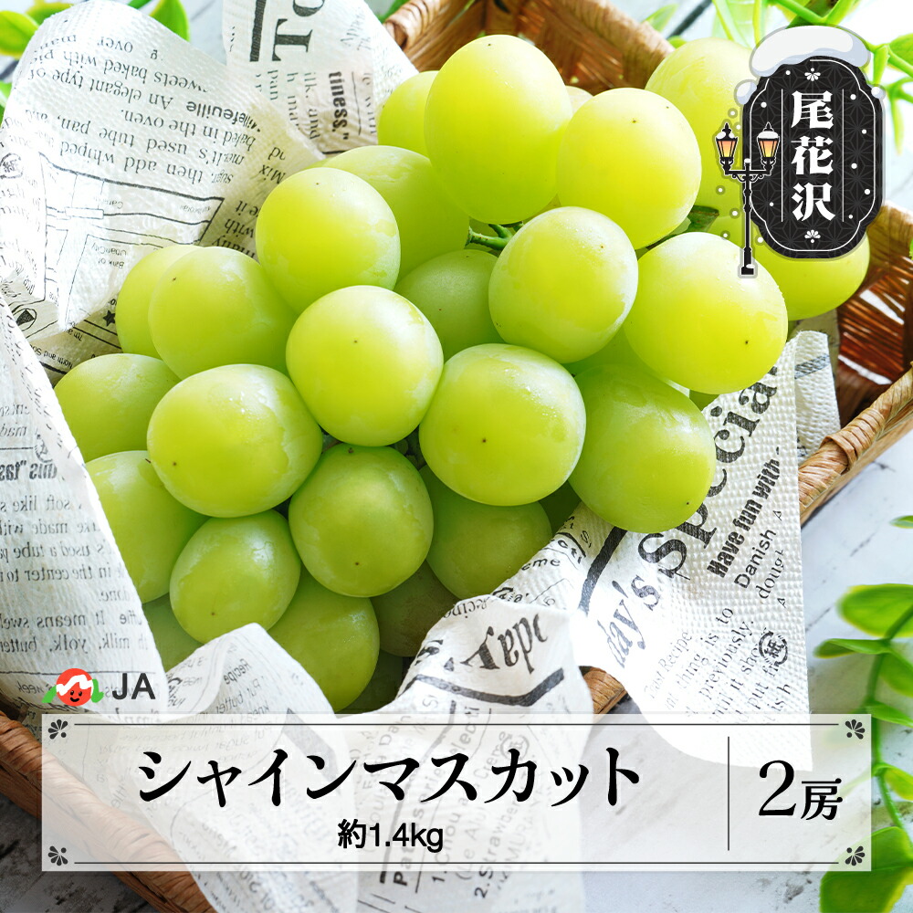 【ふるさと納税】先行予約 シャインマスカット 約1.4kg 2房 令和8年産 2026年産 9月中旬~10月下旬頃発送 ぶどう ブドウ 果物 フルーツ 山形県産 送料無料 ja-busmx1400 ※沖縄・離島への配送不可