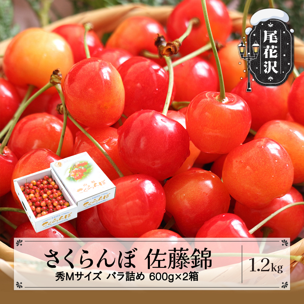 【ふるさと納税】先行予約 さくらんぼ 佐藤錦 秀Mサイズ バラ詰め 1.2kg(600g×2箱) 2025年産 令和7年産 山形県産 送料無料 サクランボ<br>※沖縄・離島への配送不可