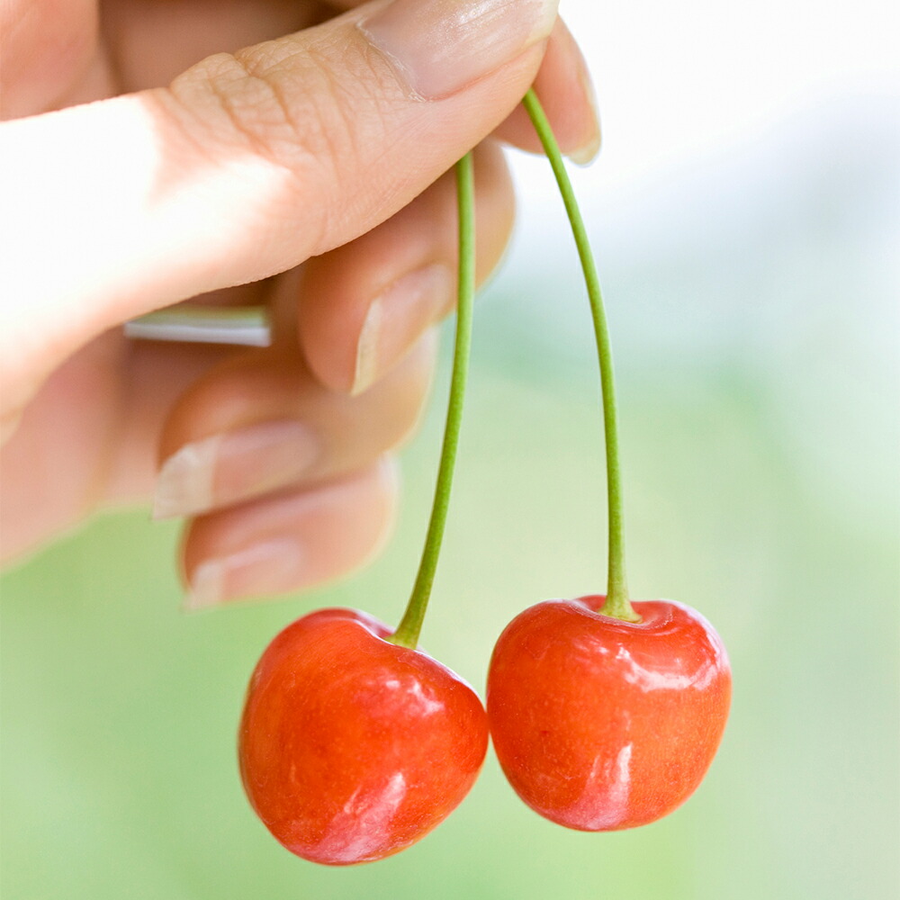 【ふるさと納税】さくらんぼ佐藤錦秀Mサイズプレゼントギフトバラ詰め1.2kg(600g×2箱)2022年産山形県産送料無料サクランボ