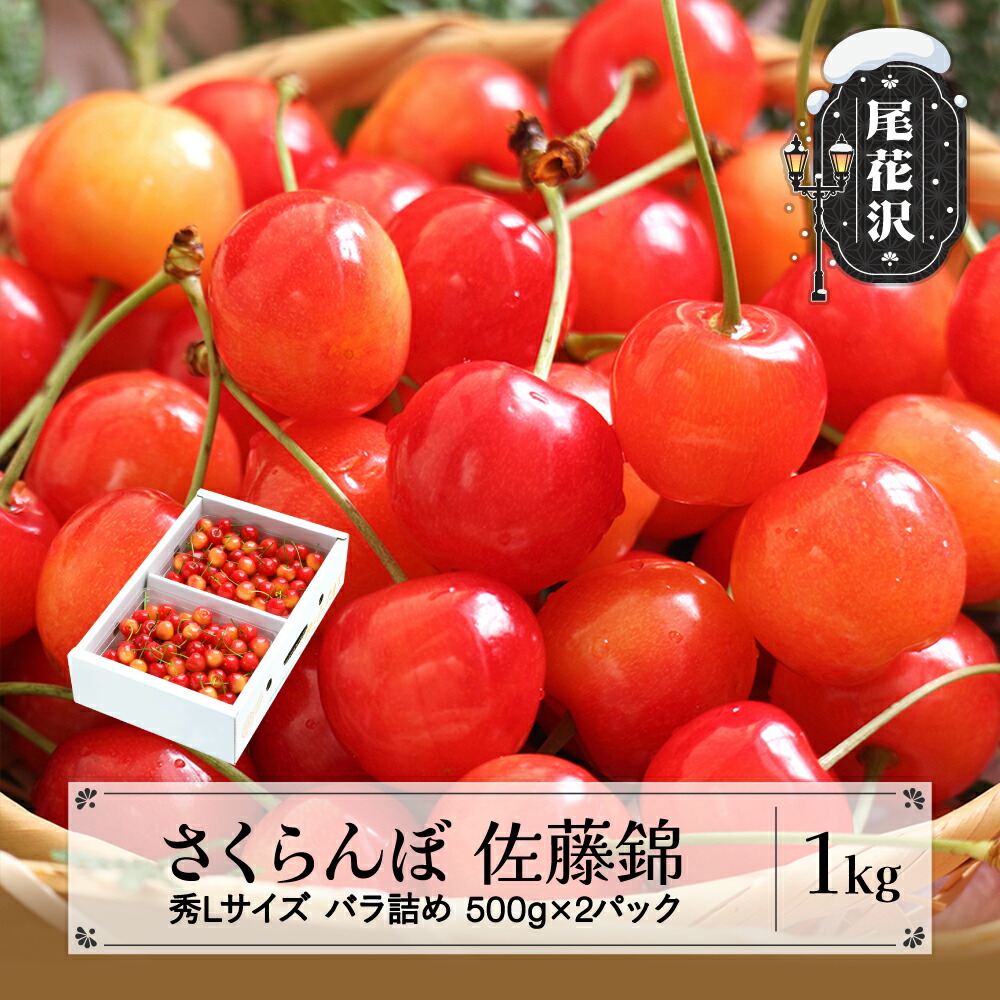 【ふるさと納税】先行予約 さくらんぼ 佐藤錦 秀Lサイズ プレゼント ギフト バラ詰め 1kg(500g×2パック) 2025年産 令和7年産 山形県産 送料無料 サクランボ<br>※沖縄・離島への配送不可 ns-snslb1