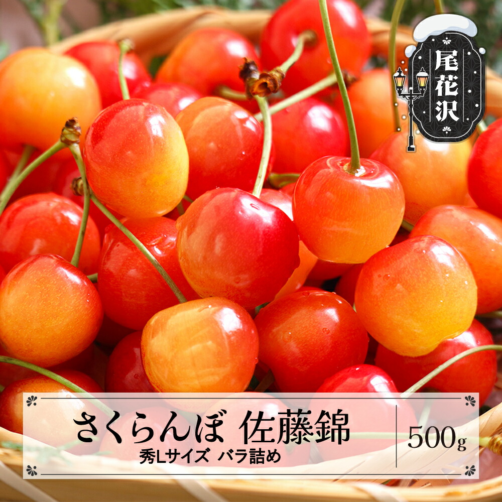 【ふるさと納税】先行予約 さくらんぼ 佐藤錦 秀Lサイズ プレゼント ギフト バラ詰め 500g 2026年産 令和8年産 山形県産 送料無料 サクランボ ※沖縄・離島への配送不可 ns-snslb500
