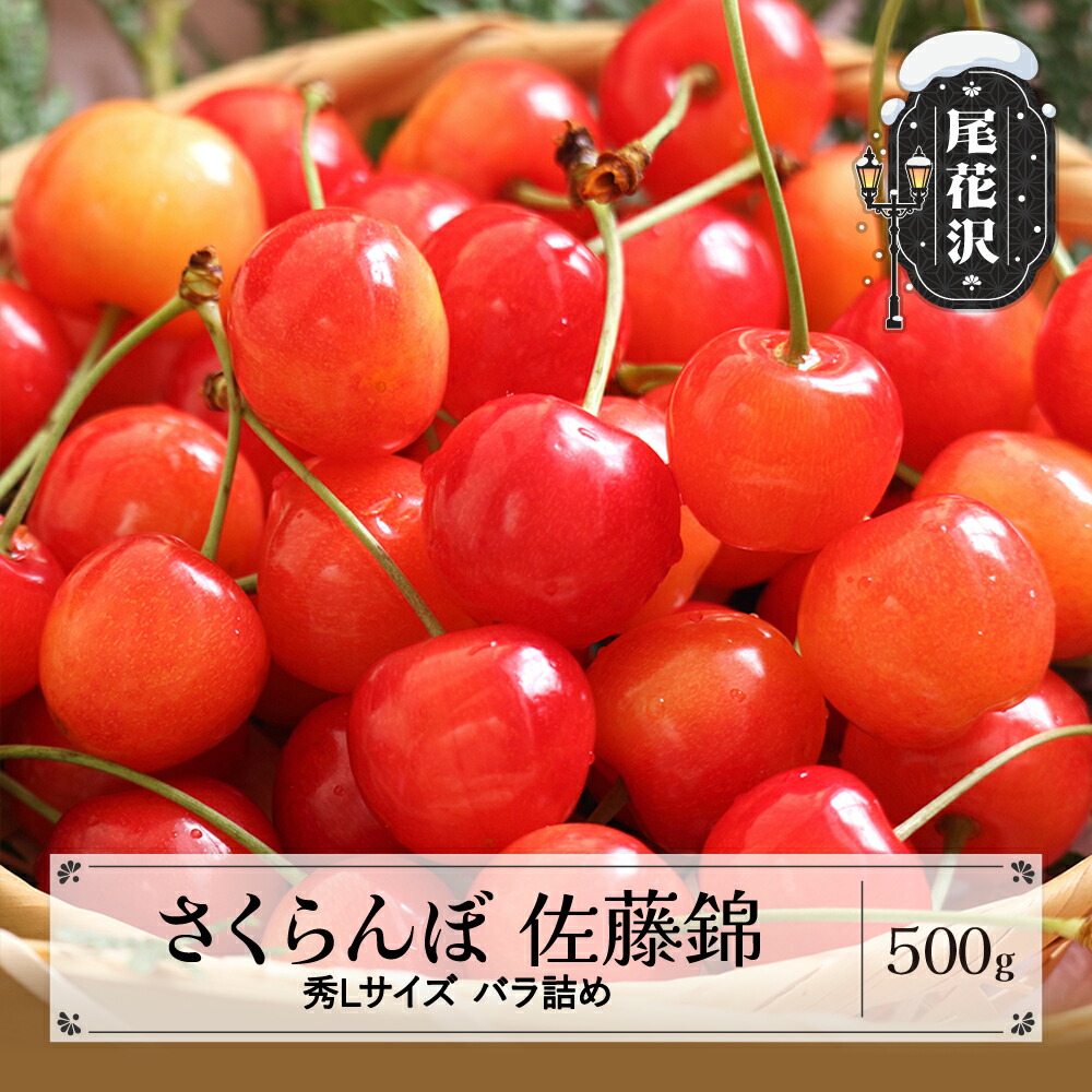 【ふるさと納税】先行予約 さくらんぼ 佐藤錦 秀Lサイズ プレゼント ギフト バラ詰め 500g 2025年産 令和7年産 山形県産 送料無料 サクランボ<br>※沖縄・離島への配送不可 ns-snslb500