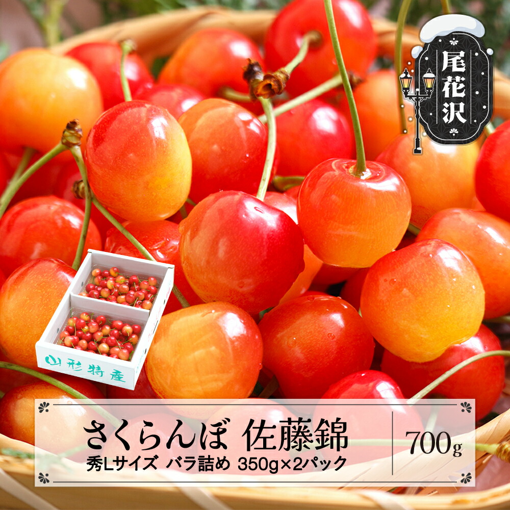 楽天市場】【ふるさと納税】先行予約 さくらんぼ 佐藤錦 500g 秀