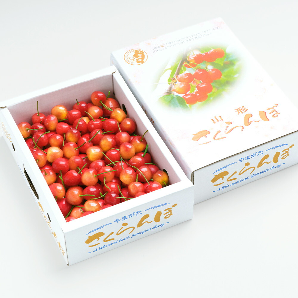 【ふるさと納税】さくらんぼ佐藤錦秀Mサイズプレゼントギフトバラ詰め1.2kg(600g×2箱)2022年産山形県産送料無料サクランボ