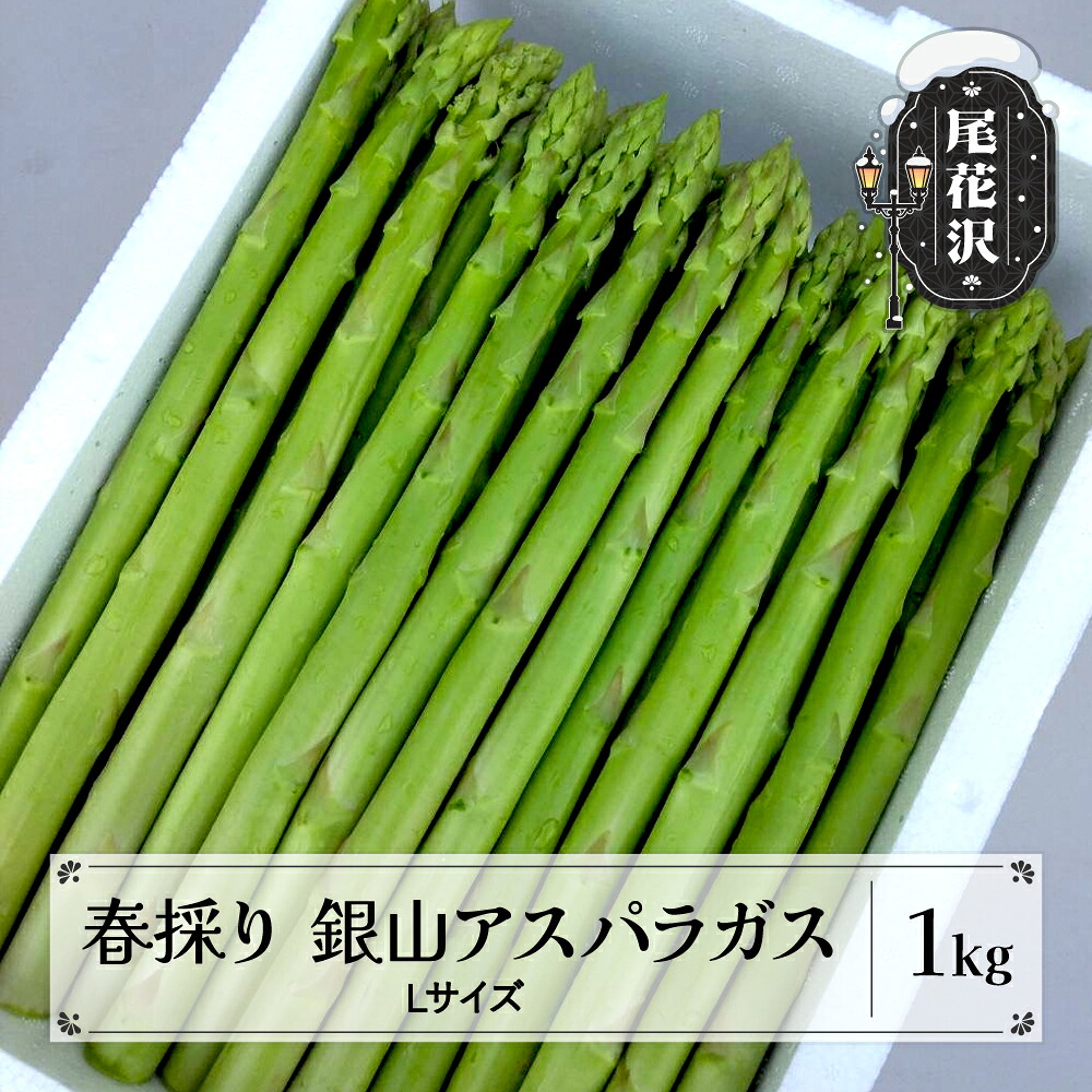 【ふるさと納税】春採り 銀山アスパラガス Lサイズ 1kg 令和8年産 2026年産 グリーンアスパラガス 春 野菜 青果 山形県 nk-vga1x1 ※離島への配送不可
