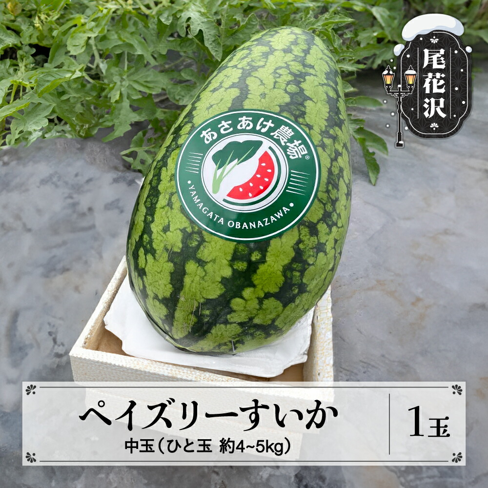 【ふるさと納税】先行予約 尾花沢産 ペイズリーすいか 約4~5kg×1玉 令和7年産 2025年産 7月中旬~8月中旬頃発送 山形 中玉 スイカ すいか 西瓜 果物 くだもの フルーツ 数量限定 ぺいずりー 送料無料 あさあけ農場 お中元 ギフト 贈答 an-supsx1<br>※沖縄・離島への配送不可