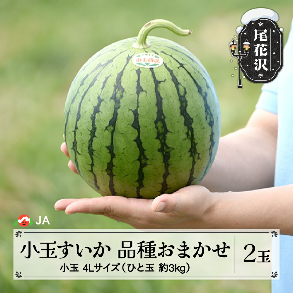 【ふるさと納税】先行予約 尾花沢産 小玉 すいか 品種おまかせ ひとりじめ もしくは ピノガール 4Lサイズ 約3kg×2玉 7月中旬～7月下旬頃発送 2025年産 令和7年産 スイカ 西瓜 果物 フルーツ こだま 送料無料 着日指定不可 JA<br>※沖縄・離島への配送不可