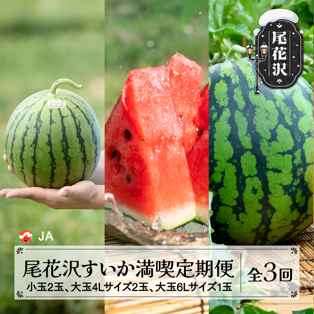 【ふるさと納税】先行予約 尾花沢すいか満喫定期便 全3回 7月中旬～8月上旬頃発送 2025年産 令和7年産 スイカ 西瓜 フルーツ 果物 果物定期便 食べ比べ 山形県 JA ja-tksux<br>※沖縄・離島への配送不可