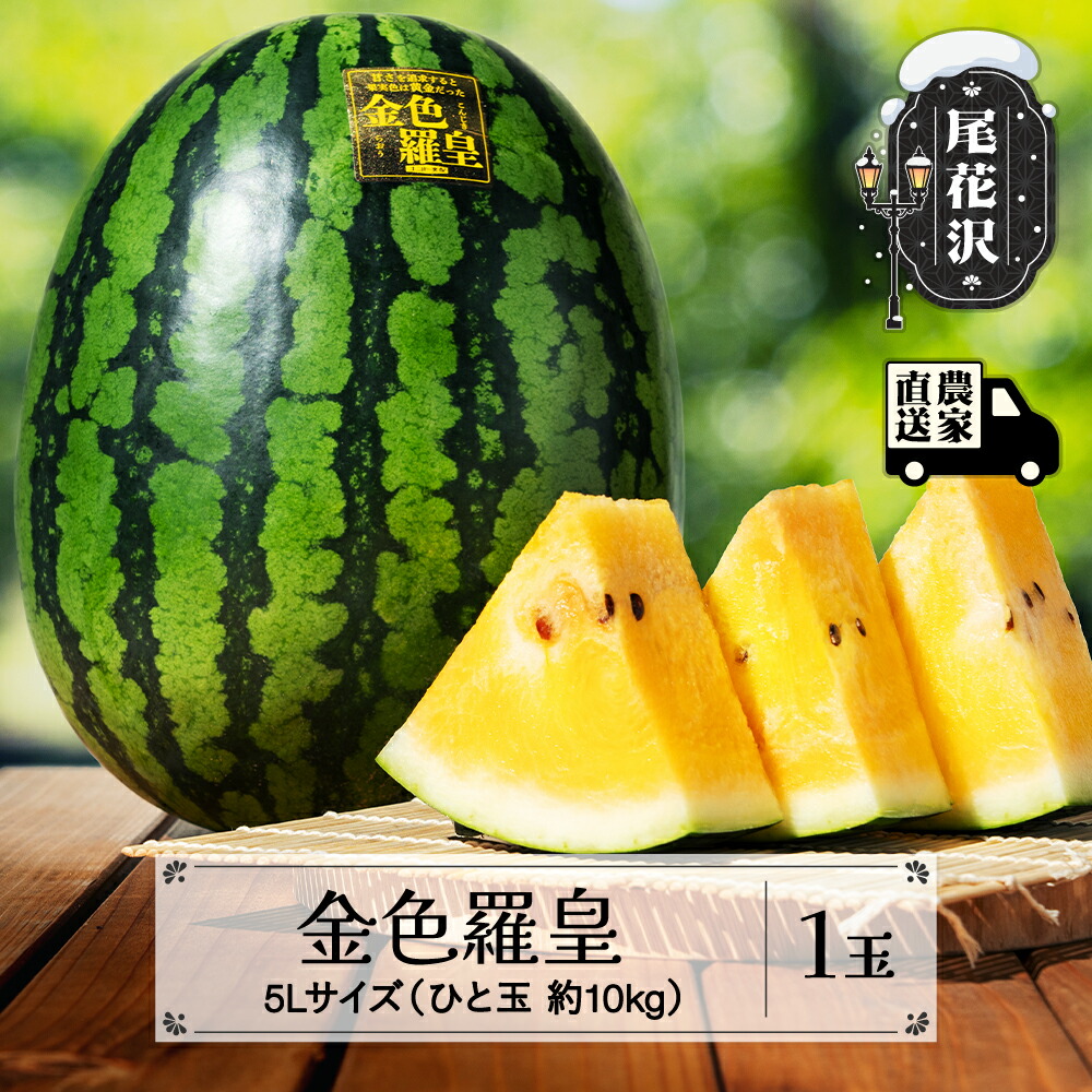 【ふるさと納税】先行予約 尾花沢産スイカ 金色羅皇 5Lサイズ 約10kg×1玉 令和7年産 2025年産 山形 大玉 すいか 西瓜 果物 くだもの 数量限定 こんじきらおう 黄色 ゴールド 甘い 送料無料 観光物産 kb-sukr51<br>※沖縄・離島への配送不可