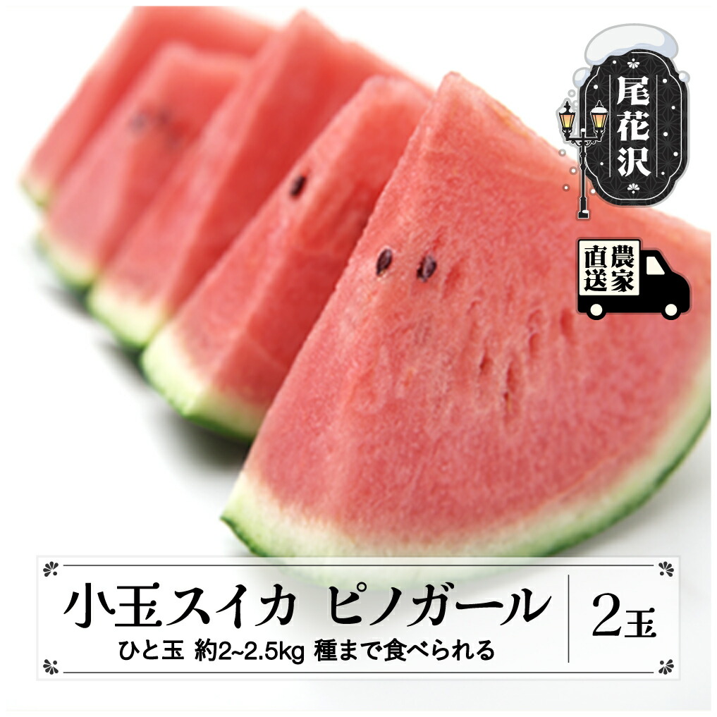 【ふるさと納税】タネまで食べられる小玉スイカ ピノガール (約2~2.5kg)×2玉 7月中旬～8月上旬頃発送 尾花沢産スイカ 令和7年産 2025年産 観光物産 kb-supgx2 すいか 西瓜 送料無料 観光物産 山形県 尾花沢市<br>※沖縄・離島への配送不可