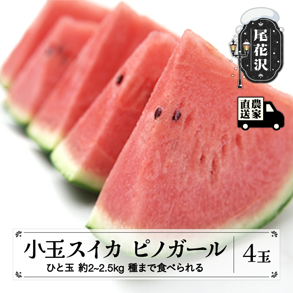 【ふるさと納税】タネまで食べられる小玉スイカ ピノガール (約2~2.5g)×4玉 7月中旬～8月上旬頃発送 尾花沢産スイカ 令和7年産 2025年産 観光物産 kb-supgx4  すいか 西瓜 送料無料 観光物産 山形県 尾花沢市<br>※沖縄・離島への配送不可