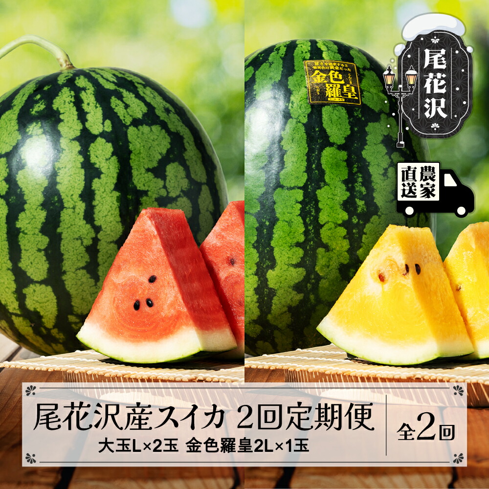 【ふるさと納税】先行予約 尾花沢産スイカ 2回定期便 大玉 スイカ 金色羅皇 こんじきらおう 全2回 7月下旬～8月中旬頃発送 2025年産 令和7年産 黄金 金色 黄色 すいか 西瓜 フルーツ 果物 果物定期便 定期便 食べ比べ 山形県 尾花沢市 kb-tksu2<br>※沖縄・離島への配送不可