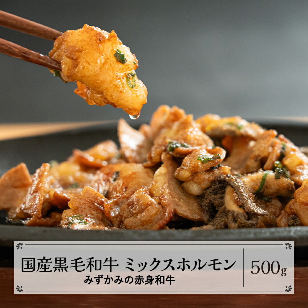 【ふるさと納税】みずかみの赤身和牛 ミックスホルモン 500g 肉 牛 牛肉 赤身 国産 黒毛和牛 和牛 焼肉 水上畜産 送料無料 mz-wgmhx500｜山形県尾花沢市
