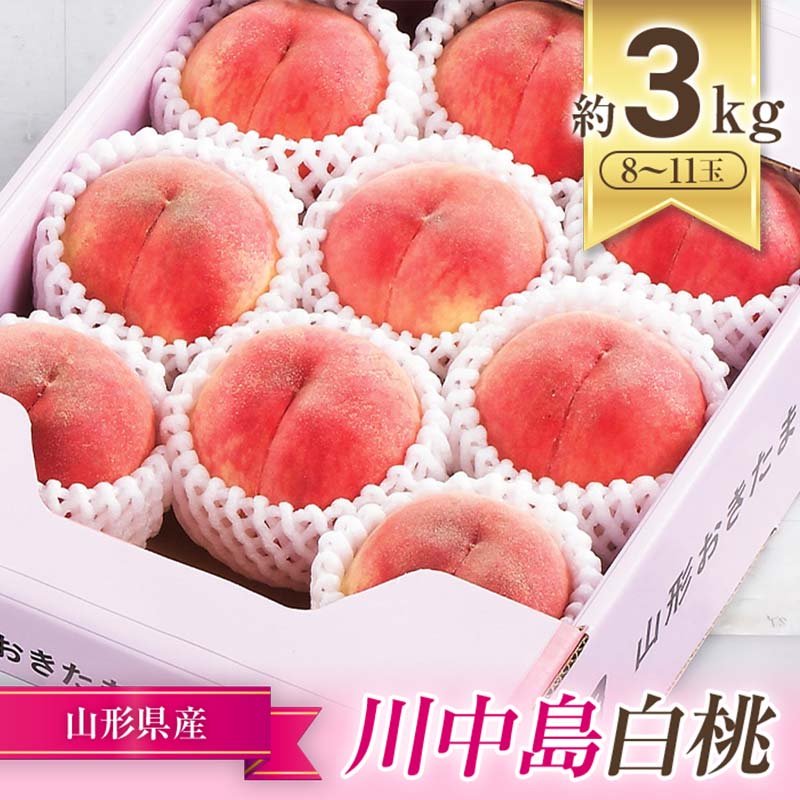 【ふるさと納税】【令和7年産先行予約】 JA もも 「川中島」 約3kg (8～11玉) 化粧箱入り 《令和7年8月下旬～9月下旬発送》 『JA山形おきたま』 桃 モモ 果物 フルーツ 山形県 南陽市 [982]