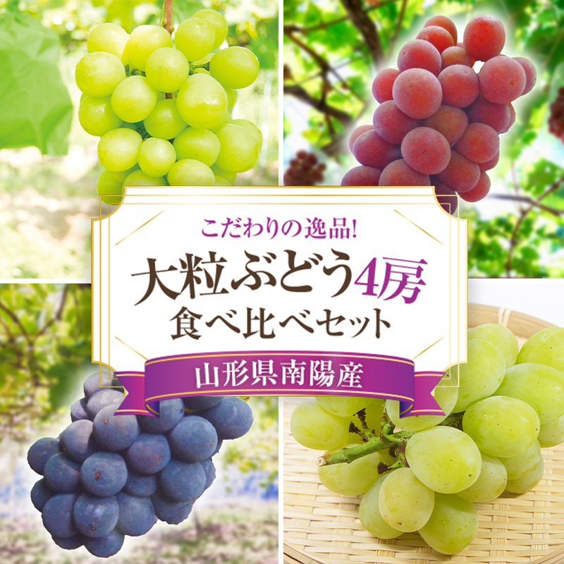 【ふるさと納税】 【令和7年産先行予約】 大粒ぶどう 食べ比べセット おまかせ4房 《令和7年9月上旬～発送》 『うえ木ぶどう園』 ぶどう 果物 フルーツ デザート 食べ比べ 山形県 南陽市 [675]