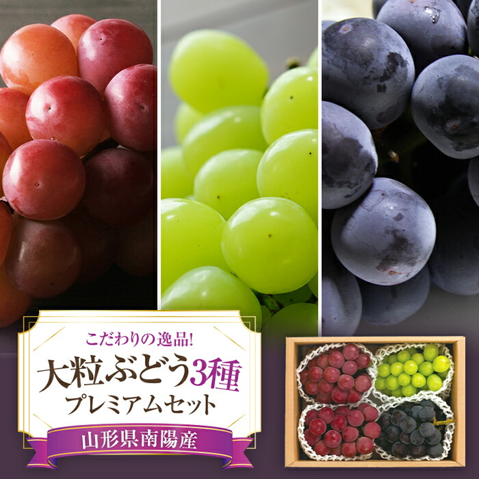 【ふるさと納税】【令和7産先行予約】 大粒ぶどう3種プレミアムセット 4房 《令和7年9月上旬～発送》 『うえ木ぶどう園』 ぶどう 果物 フルーツ デザート 食べ比べ 山形県 南陽市 [676]