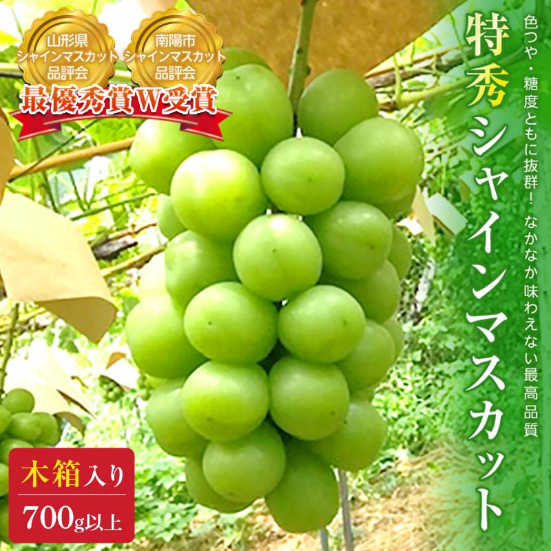 【ふるさと納税】【令和7年産先行予約】【最優秀賞W受賞農家】 シャインマスカット 700g以上 (1房 特選) 《令和7年9月中旬～発送》『生産者 佐藤 大輔』 マスカット 葡萄 ぶどう 種なし 果物 フルーツ デザート 山形県 南陽市 [1031]