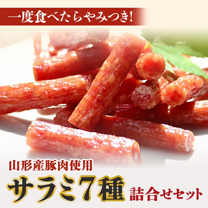 【ふるさと納税】 一度食べたらやみつき！ サラミ詰合せ 7種セット  約1.15kg 『(有)宮内ハム』 おつまみ おやつ 7種 セット 山形豚 豚肉 ポーク サラミ ジャーキー いか ベーコンジャーキー 珍味 お酒のお供 山形県 南陽市 [1]