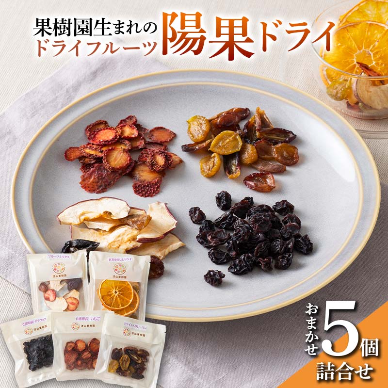 【ふるさと納税】 果樹園生まれの ドライフルーツ 「陽果ドライ」 おまかせ5個詰合せ 『漆山果樹園』 山形県 南陽市 [494]