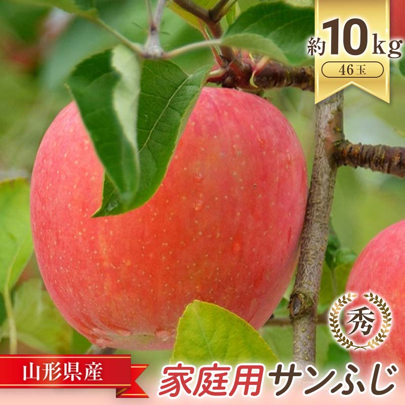 【ふるさと納税】【令和7年産先行予約】 〈家庭用〉 JA りんご 「サンふじ (小玉)」 約10kg (46玉 秀) 《令和7年11月中旬～12月中旬発送》 『JA山形おきたま』 林檎 リンゴ 果物 フルーツ 山形県 南陽市 [721-R7]