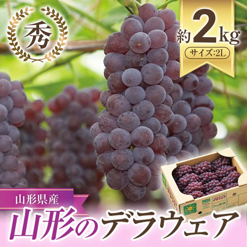 【ふるさと納税】【令和7年産先行予約】 JA デラウェア 約2kg (2L 秀) 《令和7年7月下旬～8月下旬発送》 『JA山形おきたま』 葡萄 ぶどう ブドウ 種なし 果物 フルーツ 山形県 南陽市 [921]