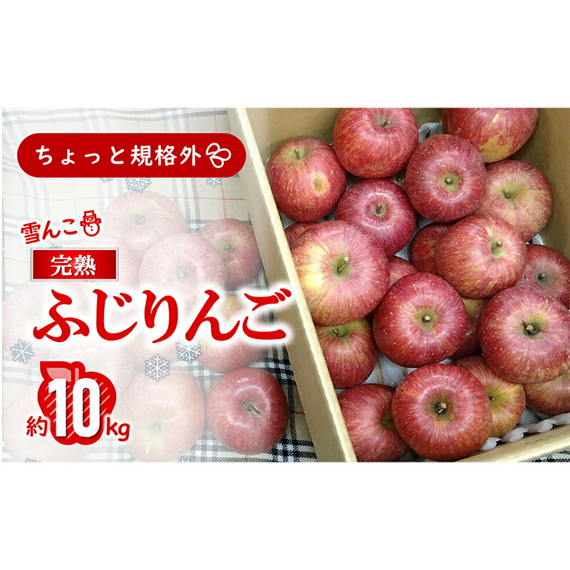 【ふるさと納税】 〈訳あり ちょっと規格外〉 雪んこ 完熟ふじりんご 約10kg 《令和8年1月上旬～発送》 【全国りんご選手権 銀賞】 『船中農園』 山形県 南陽市 [1405]
