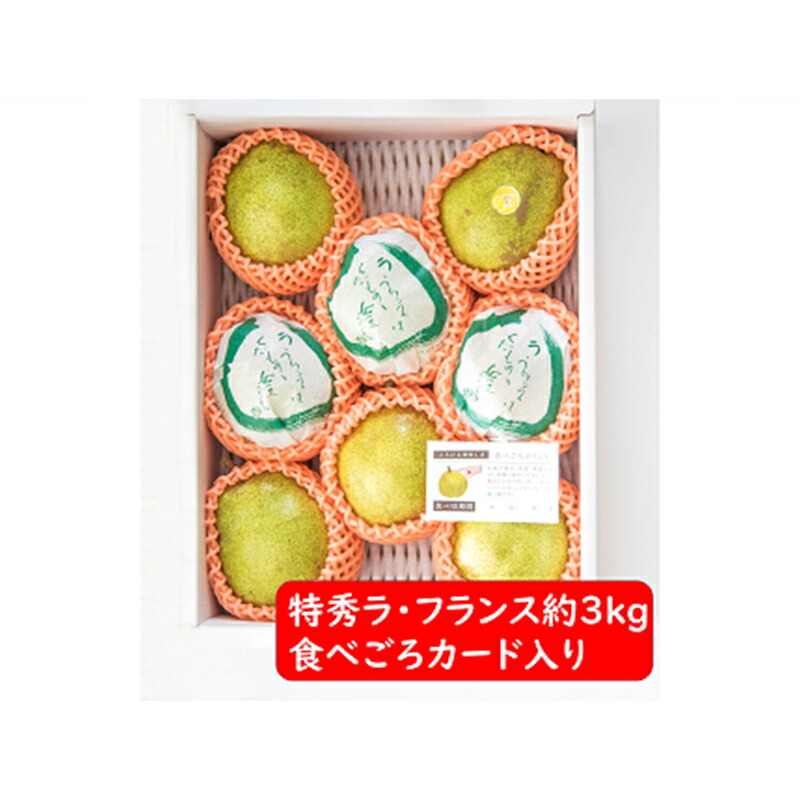 【ふるさと納税】【令和7年産先行予約】 ラ・フランス 約3kg (8～11玉 特秀 2～5L) 《令和7年11月～発送》 『たけひさ農園』 ラフランス 西洋梨 洋なし 果物 フルーツ デザート 山形県 南陽市 [1087-1]