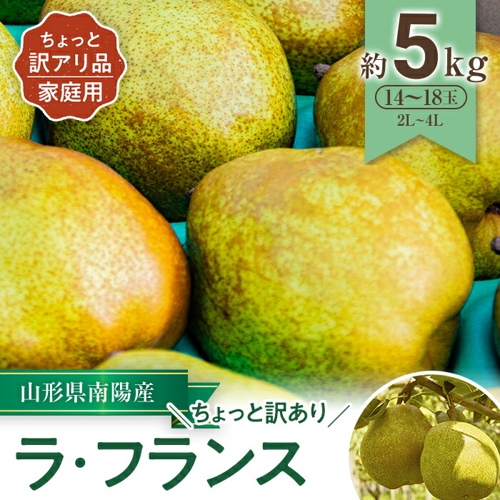 【ふるさと納税】 【令和7年産先行予約】 〈訳あり品 家庭用〉 ちょっと訳あり ラ・フランス 約5kg (14～18玉 2～4L) 《令和7年11月～発送》 『たけひさ農園』 ラフランス 西洋梨 洋なし 果物 フルーツ デザート 山形県 南陽市 [1089]