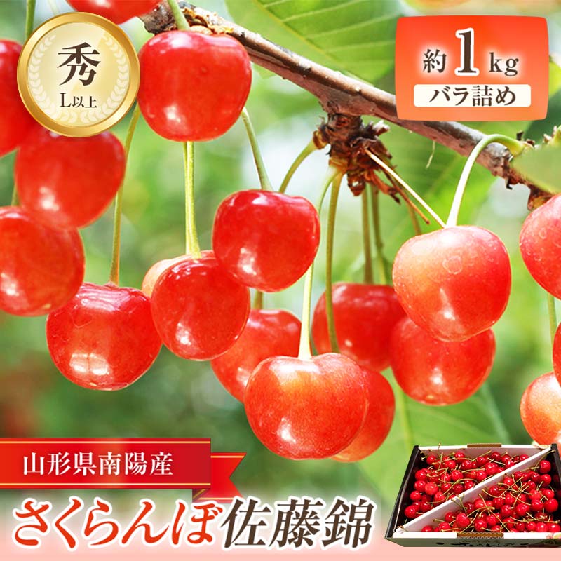 【ふるさと納税】【令和7年産先行予約】 さくらんぼ ｢佐藤錦｣ 約1kg (秀 L以上) バラ詰め 《令和7年6月中旬～発送》 『田口農園』 サクランボ 果物 フルーツ 産地直送 生産農家直送 山形県 南陽市 [1129]