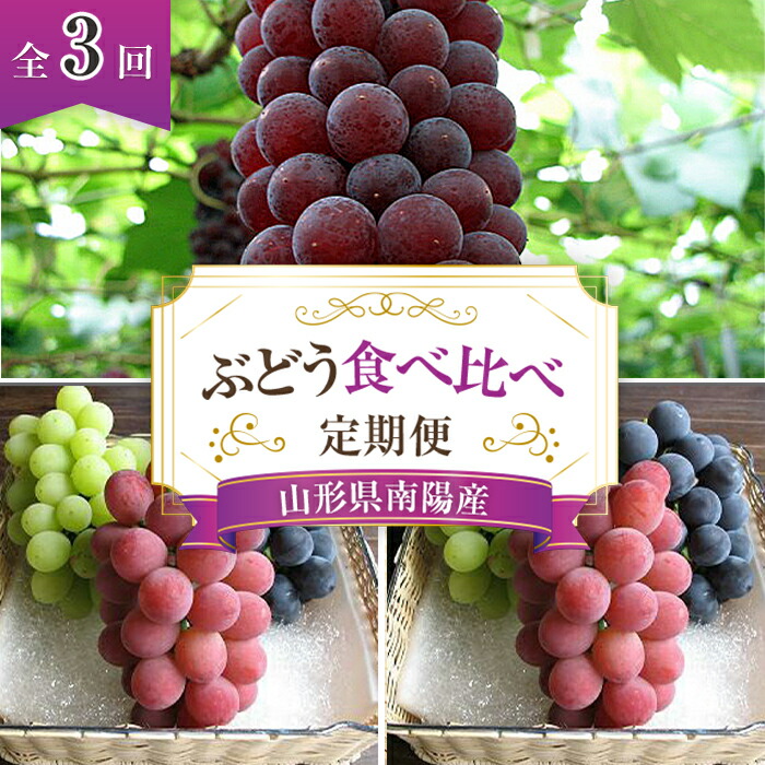 【ふるさと納税】 【令和7年産先行予約】 《定期便3回》 ぶどう食べ比べ 定期便 《令和7年7月～発送》 『漆山果樹園』 葡萄 ぶどう ブドウ 果物 フルーツ デザート 山形県 南陽市 [1179]