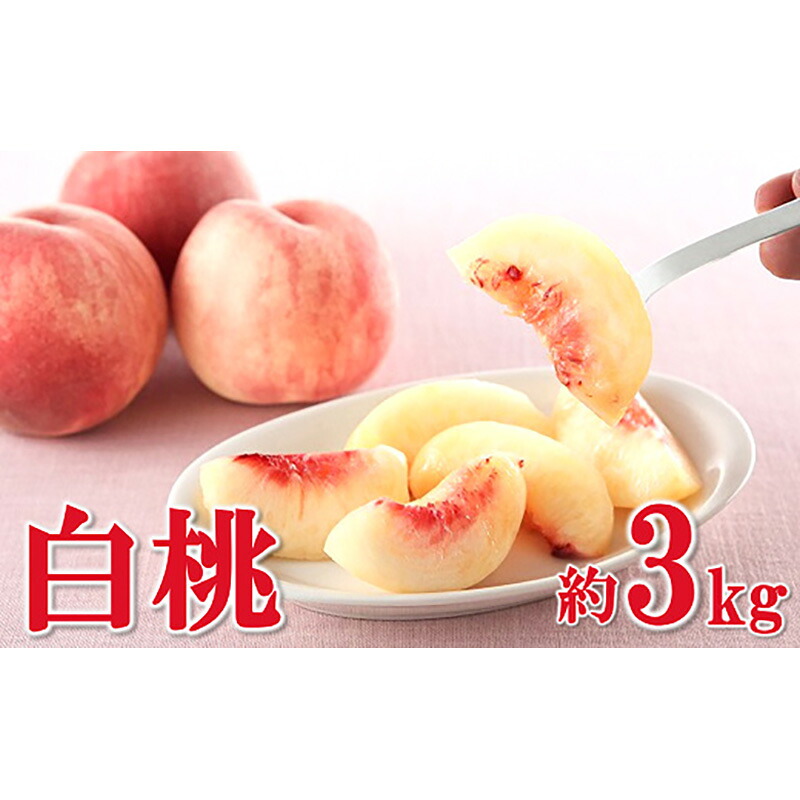 【ふるさと納税】 【令和8年産先行予約】 白桃 約3kg (6～15玉 秀) 《令和8年8月上旬～9月下旬発送》 『フードシステムズ』 モモ 果物 フルーツ 山形県 南陽市 [1384]｜山形県南陽市