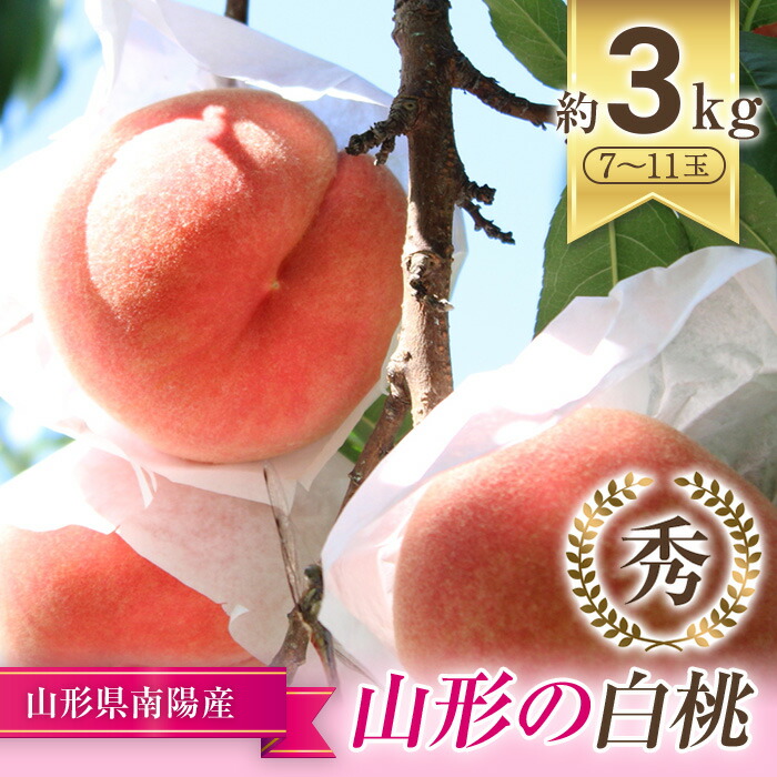 【ふるさと納税】【令和7年産先行予約】 もも「川中島･あかつき･まどか 等」 約3kg (7～11玉) 《令和7年7月下旬～発送》 『生産者 佐藤 勇二』 桃 モモ 果物 フルーツ 産地直送 生産農家直送 山形県 南陽市 [591]