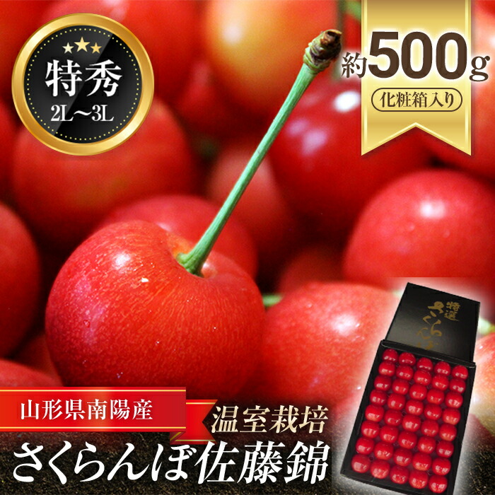 【ふるさと納税】 【令和7年産先行予約】 温室さくらんぼ 「佐藤錦」 約500g (特秀 2～3L) 化粧箱入り 《令和7年5月下旬～発送》 『松田観光果樹園』 さくらんぼ サクランボ 生産農家直送 温室栽培 果物 フルーツ デザート 先行予約 予約 山形県 南陽市 [617]