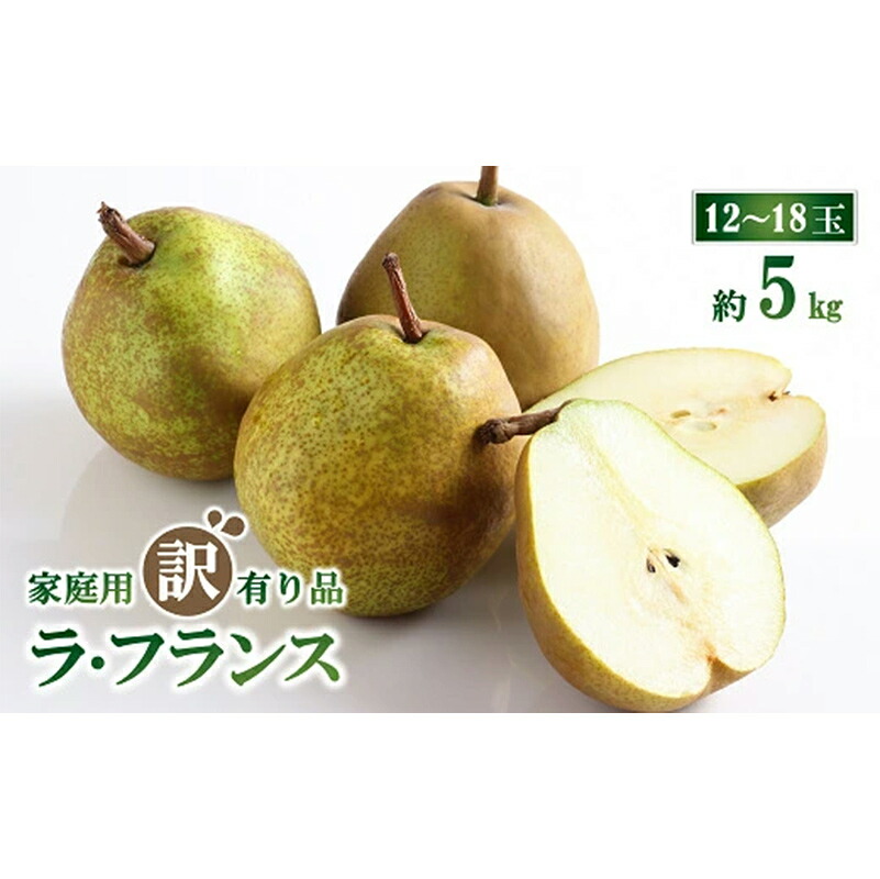 【ふるさと納税】 【令和8年産先行予約】 〈訳あり品 家庭用〉 ラ・フランス 約5kg（12～18玉 2～5L） 《令和8年11月上旬～発送》 『生産者 山岸 誠』 山形県 南陽市 [1439]