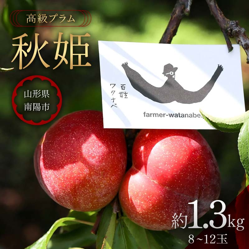 【ふるさと納税】 【令和7年産先行予約】 高級プラム ｢秋姫｣ 約1.3kg (8～12玉) 《令和7年9月～発送》『最上園』 山形県 南陽市 [685]