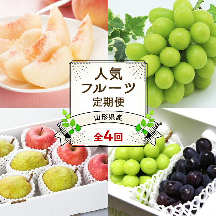 【ふるさと納税】 【令和7年産先行予約】 《定期便4回》 JA 夏秋冬人気フルーツ定期便 『JA山形おきたま』 山形県 南陽市 [1492]