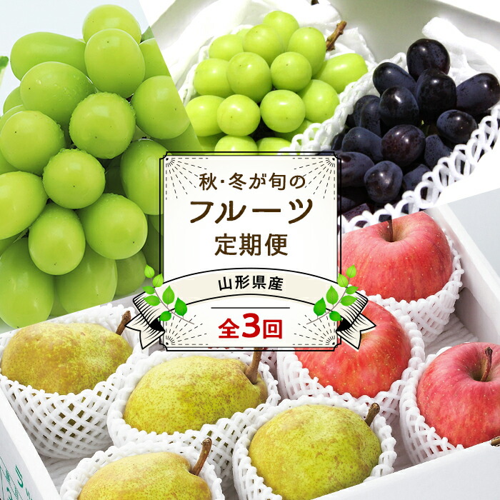 【ふるさと納税】 【令和7年産先行予約】 《定期便3回》 JA 秋冬フルーツ定期便 『JA山形おきたま』 山形県 南陽市 [1493]