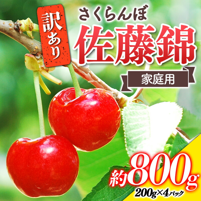 【ふるさと納税】 【令和7年産先行予約】 〈訳あり品 家庭用〉 さくらんぼ ｢佐藤錦｣ 約800g (200g×4パック Mサイズ) 《令和7年6月中旬～発送》 『田口農園』 サクランボ 生産農家直送 小分け 果物 フルーツ 山形県 南陽市 [1691]