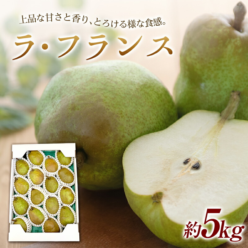【ふるさと納税】 【令和7年産先行予約】 山形県産 ラ・フランス 約5kg詰め (12～16玉) 《令和7年11月中旬～12月中旬発送》 『最上屋』 洋梨 フルーツ 果物 山形県 南陽市 [1687-R7]