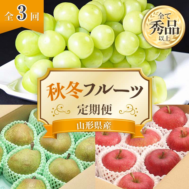 【ふるさと納税】 【令和7年産先行予約】 《定期便3回》 秋冬フルーツ定期便 『フードシステムズ』 山形県 南陽市 [1150-R7]